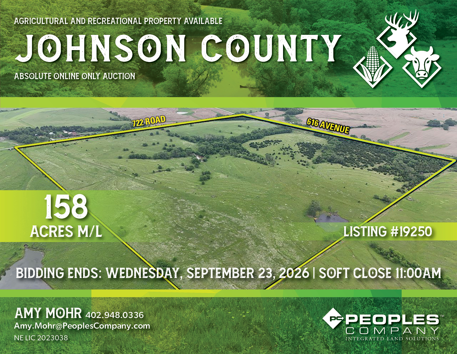 Listing #19250